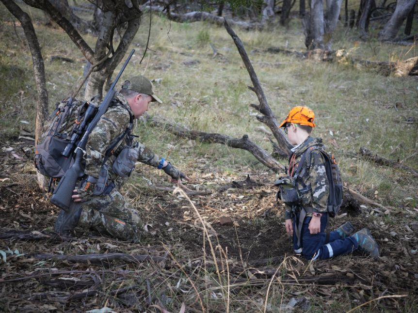 Feral Animal Management