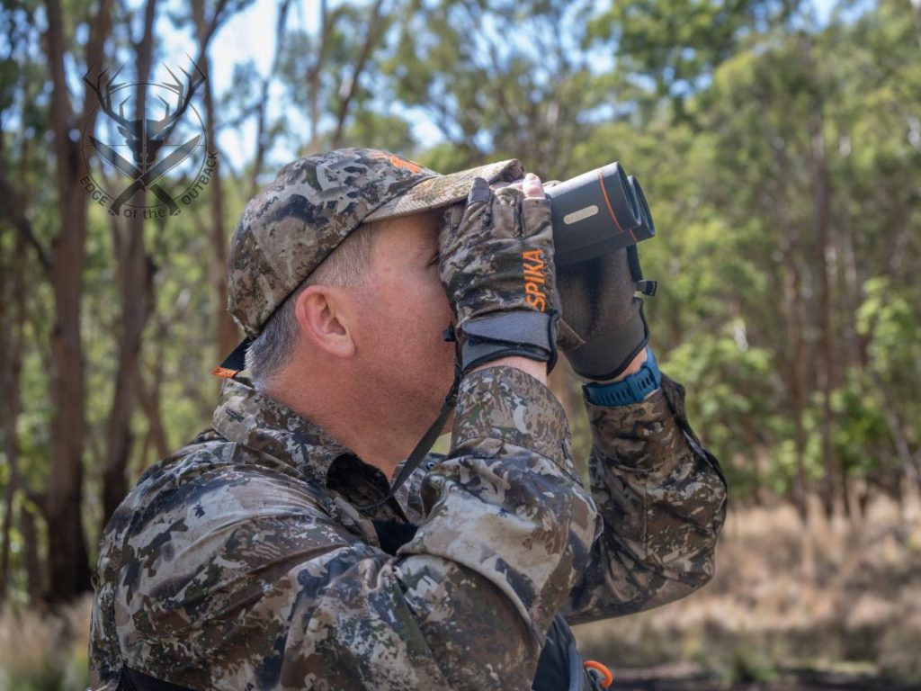 feral animal management